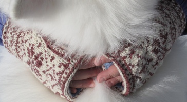 schmoopy's FO mitts-001